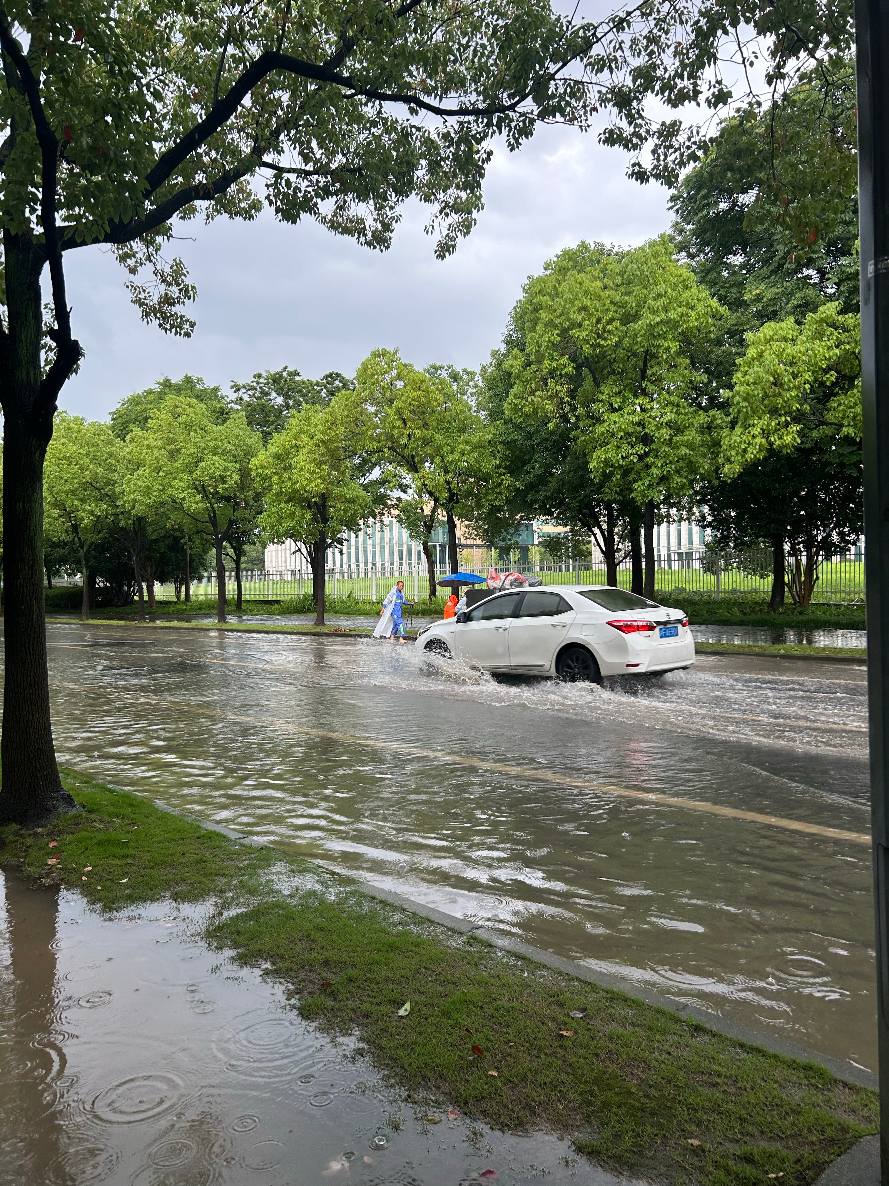 通勤两行泪，快40岁的人了，还要考勤上班，久久不能释怀，目前又无能为力。 