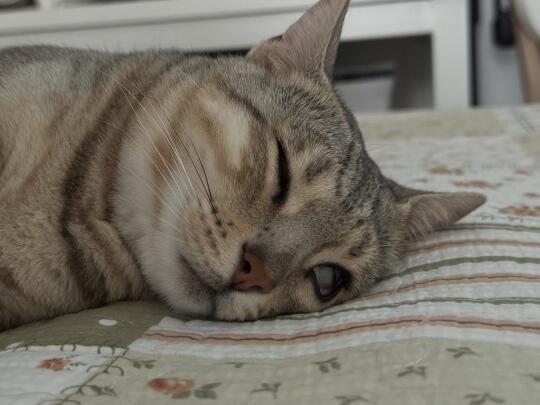 千奇百怪
