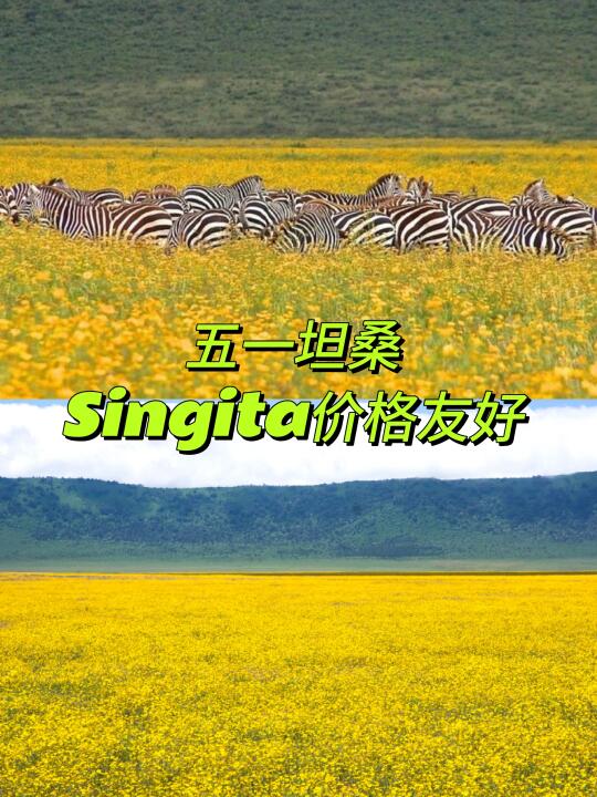 爱Singita的朋友，五一价格友好！坦桑尼亚