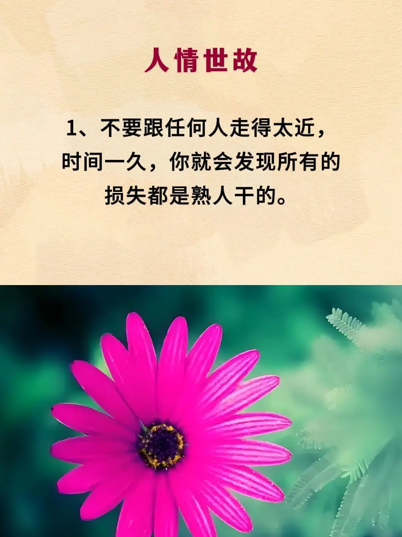 为人处世 处事智慧 人情世故