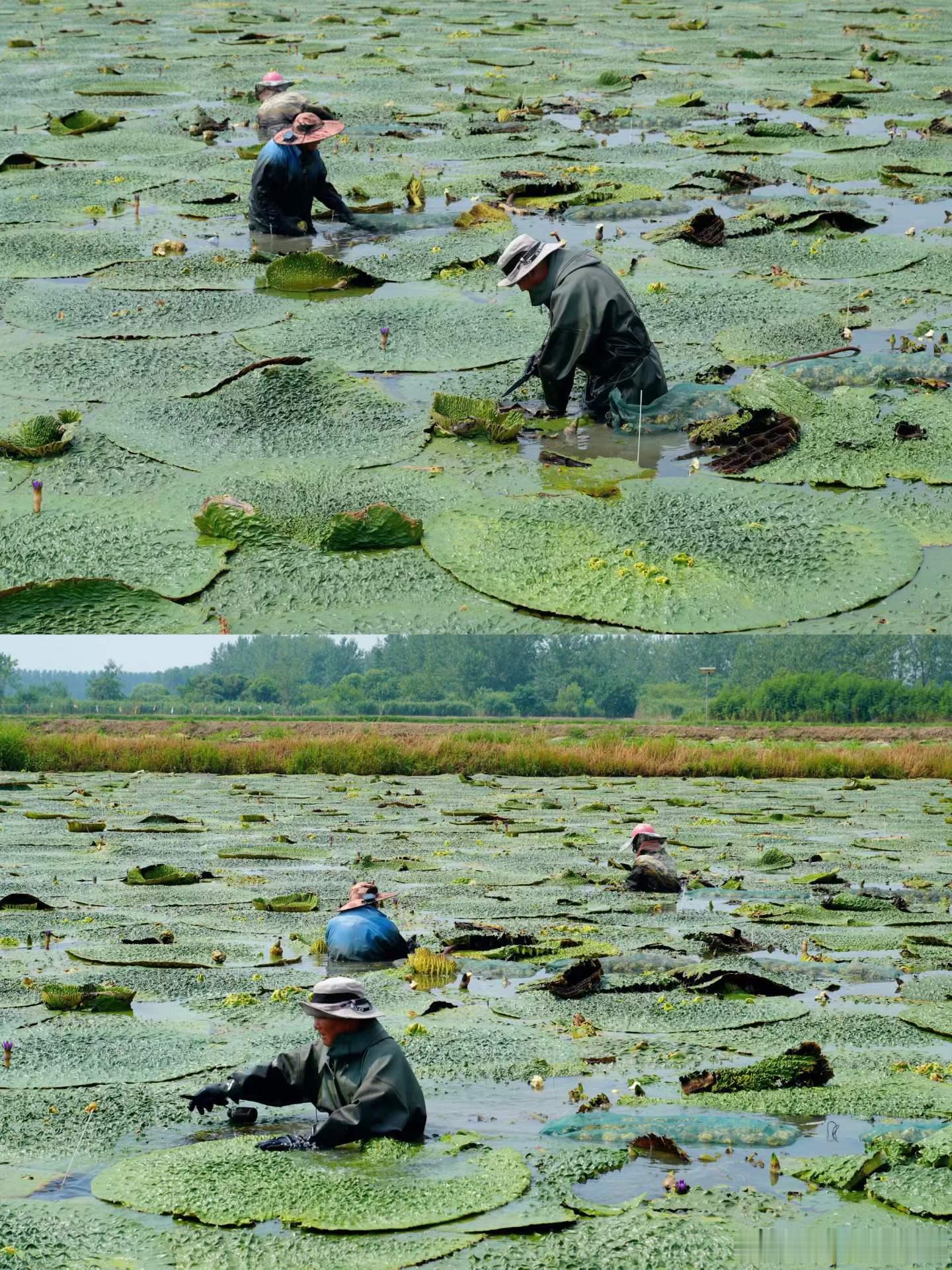 来安徽天长旅行，当然不要错过这里的美食，这份非遗美食之旅，你一定要收好了。🍜天