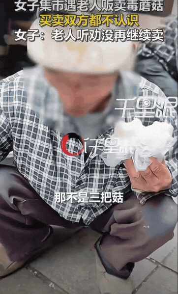 重庆，女子逛集市的时候，发现一位老人摆摊卖野生菌。她一眼认出摊上的是毒蘑菇，马上