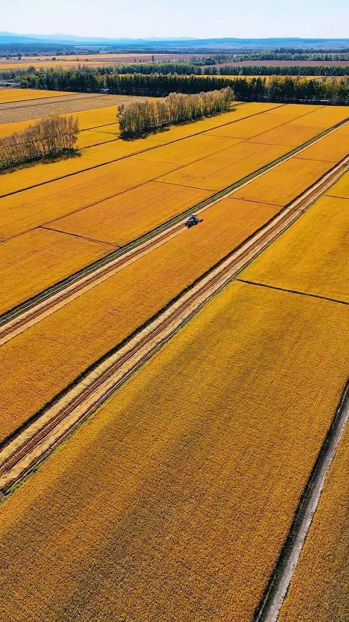 中国北大荒，
我们的大粮仓…