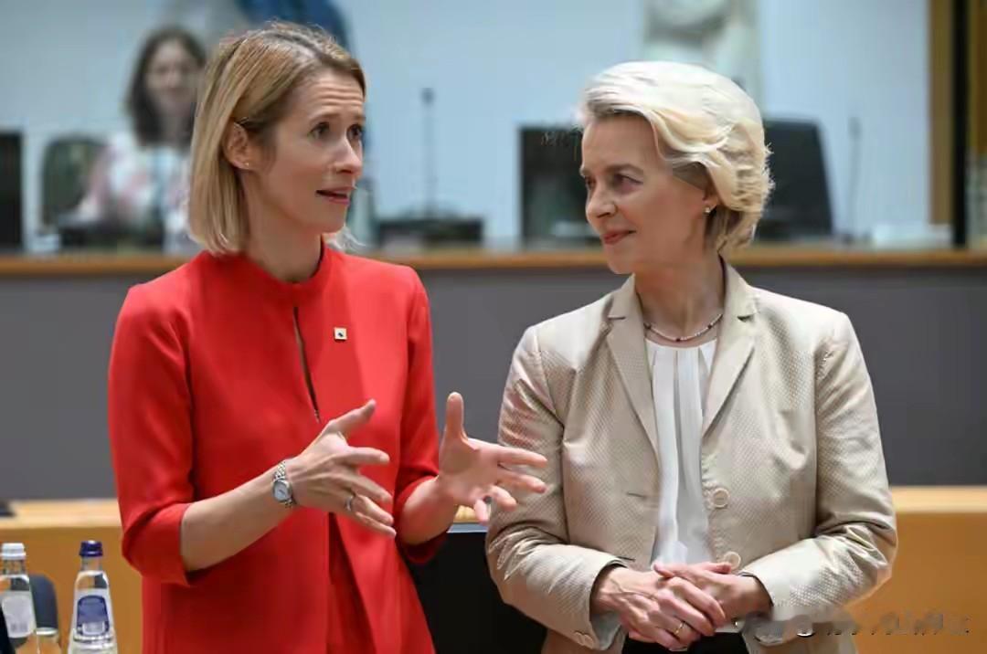 卡拉斯开始“乱放炮了”

欧盟外长卡拉斯：中国正日益将经济关系武器化，以谋取政治