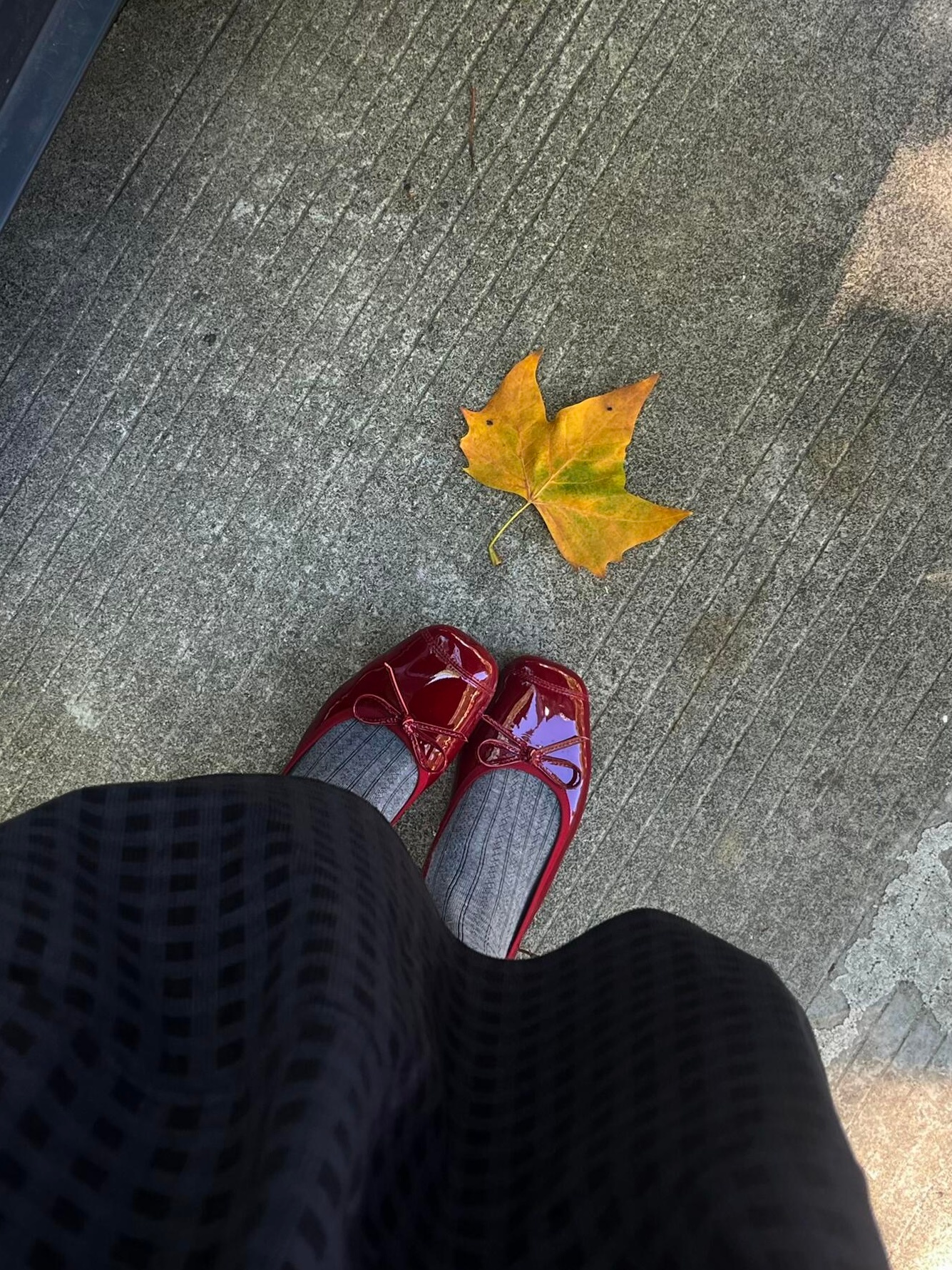 秋天,明明是很舒服的季节,为什么会让人心情莫名的低落,有点儿凉薄的感觉。 ​​​