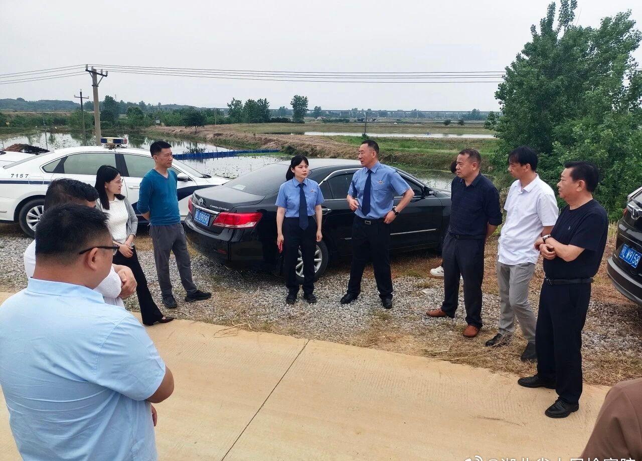 鄂检新闻【牛群霸占候鸟“VIP休息区”？被赶啦😤】咸宁向阳湖国家湿地公园可是东