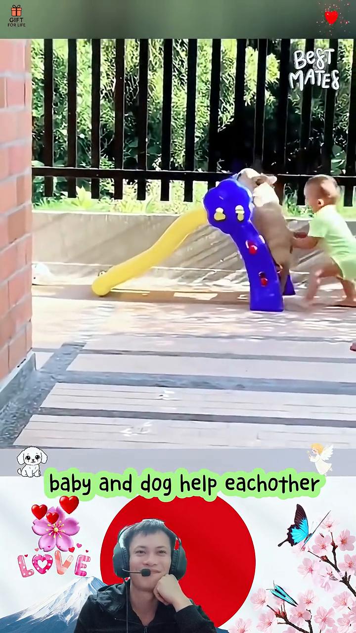 baby and dog help eachother，My daughter 