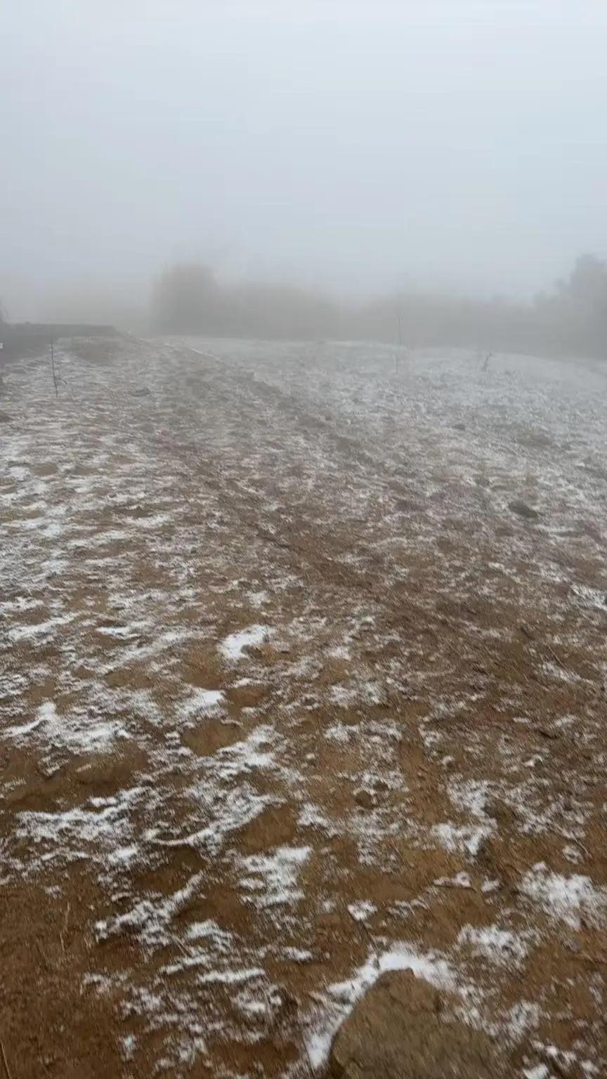 浙江下雪了！2025年冬的第一场雪，比以往来的晚一些！12月3日，凌晨3点左右，