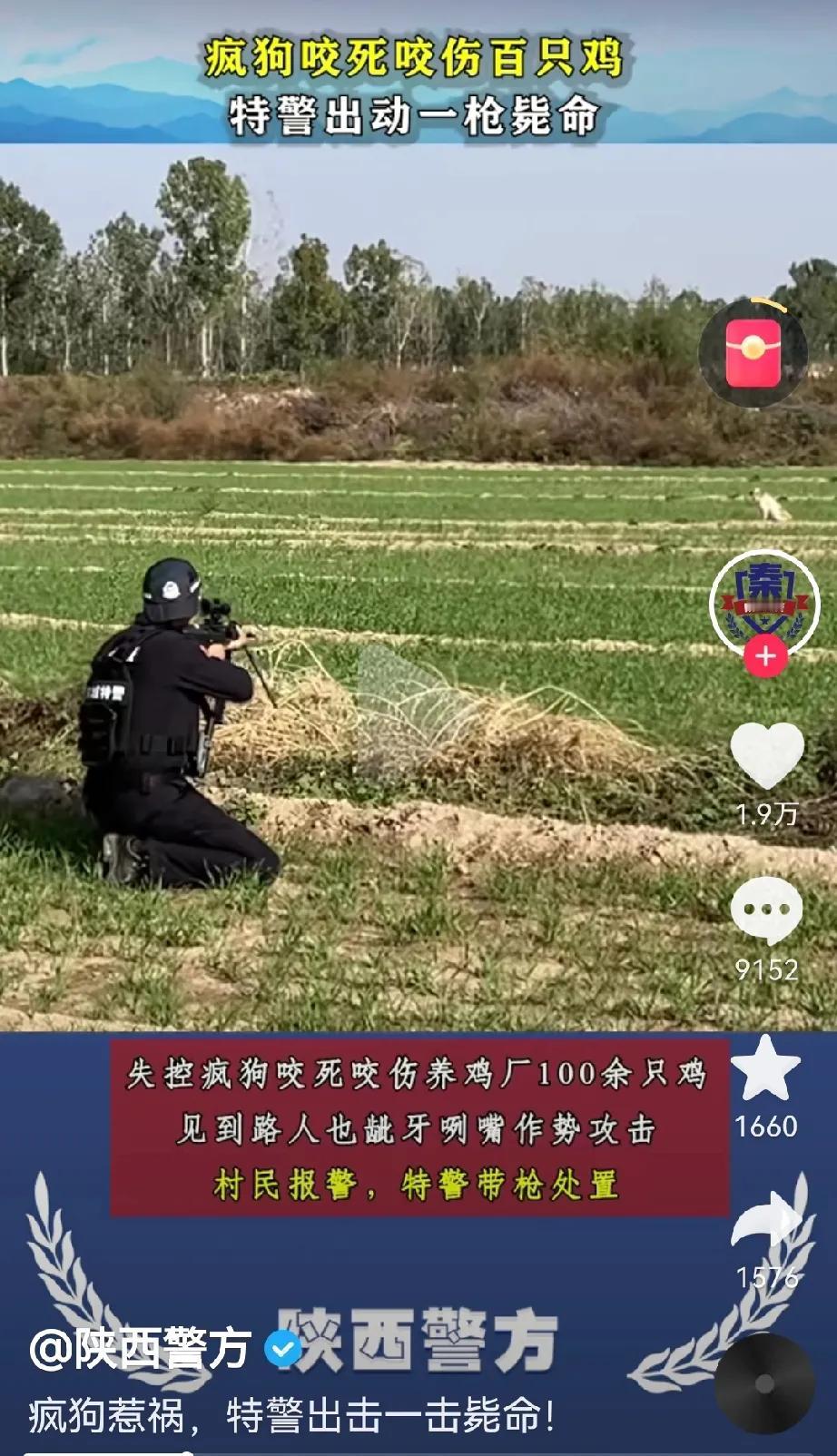 特警出动一枪毙命！点赞特警好枪法。
这咬死近百只鸡的疯狗得到了应有的下场。
消息