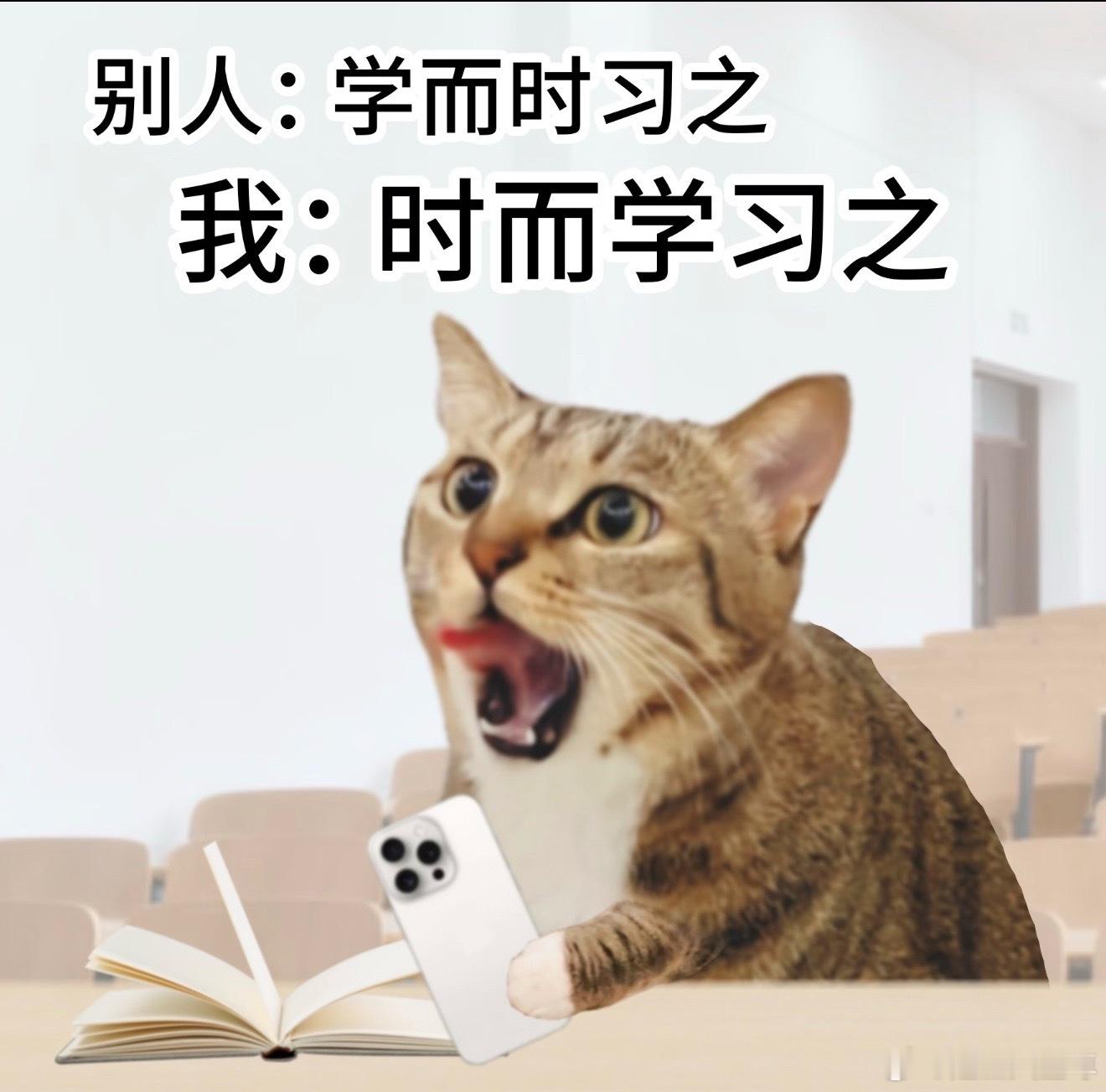嘿嘿 ​​​