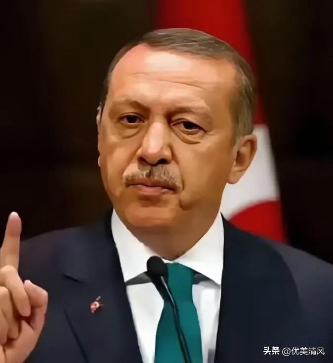 中国和土耳其谈话了
3月25日，土耳其终于等不了了，一通电话打到了中国，土耳其外