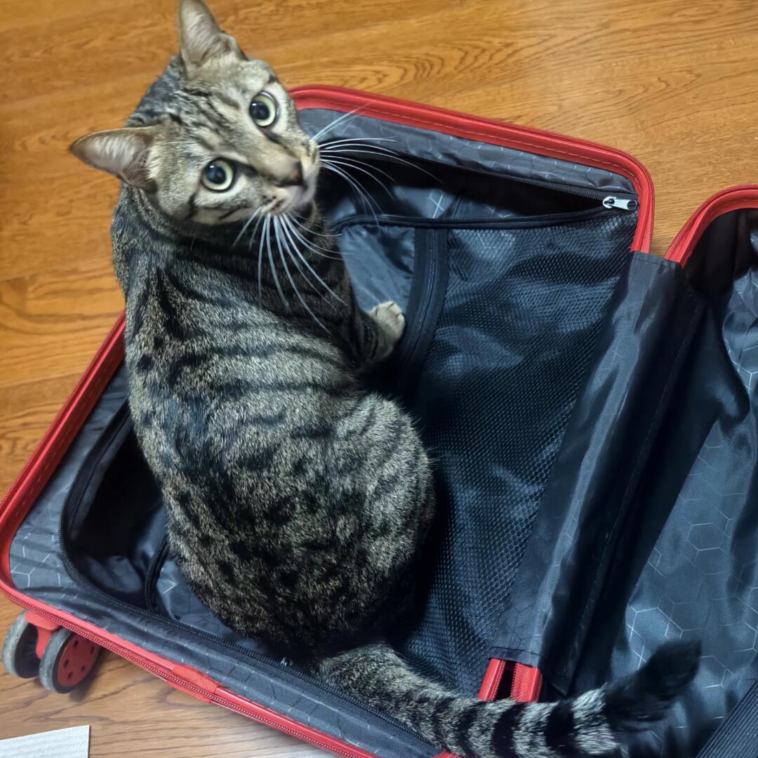 我准备休假的这一周（下）