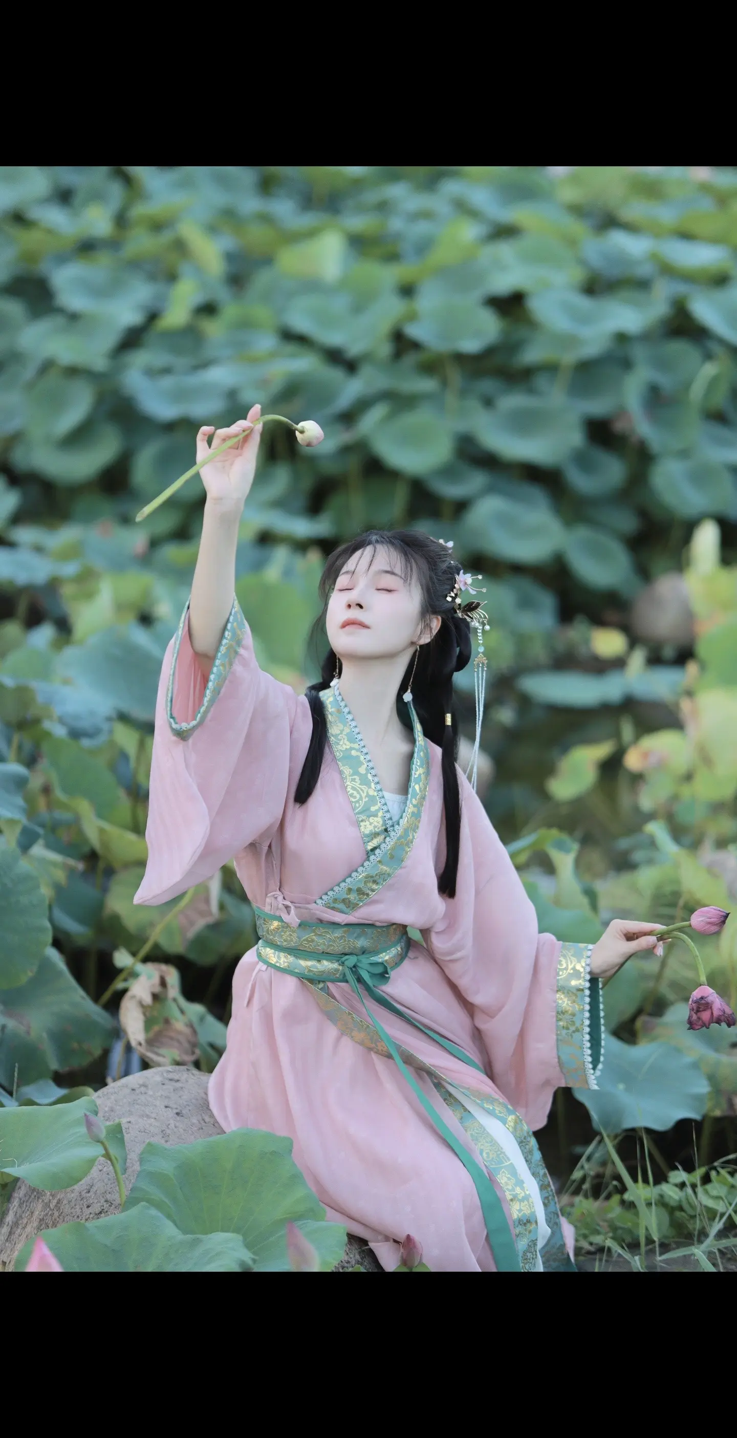 误入藕花深处！