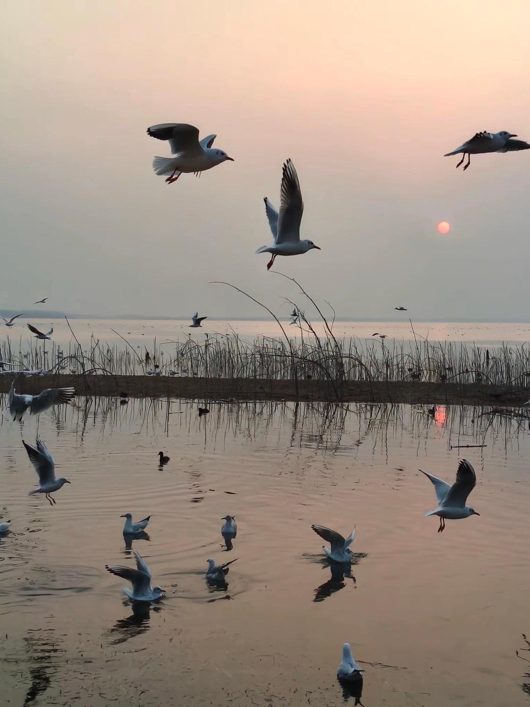 你唯一需要比较的人是，过去的自己。你唯一应该变得更好的人，就是现在的自己。 