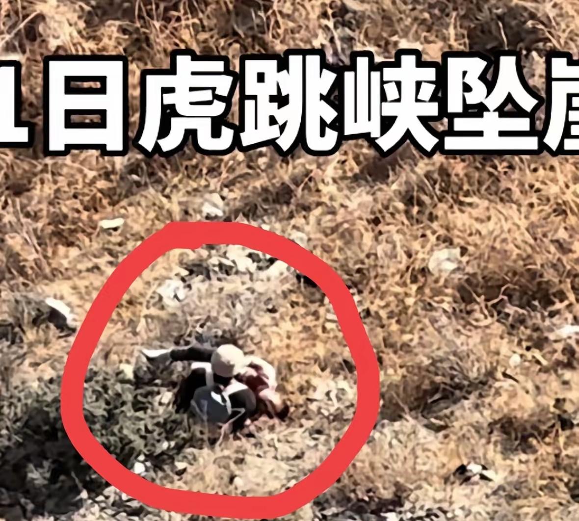 虎跳峡坠崖男童摔下去以后，他的奶奶紧接着就下去查看情况了。可由于缺乏常识，她竟用