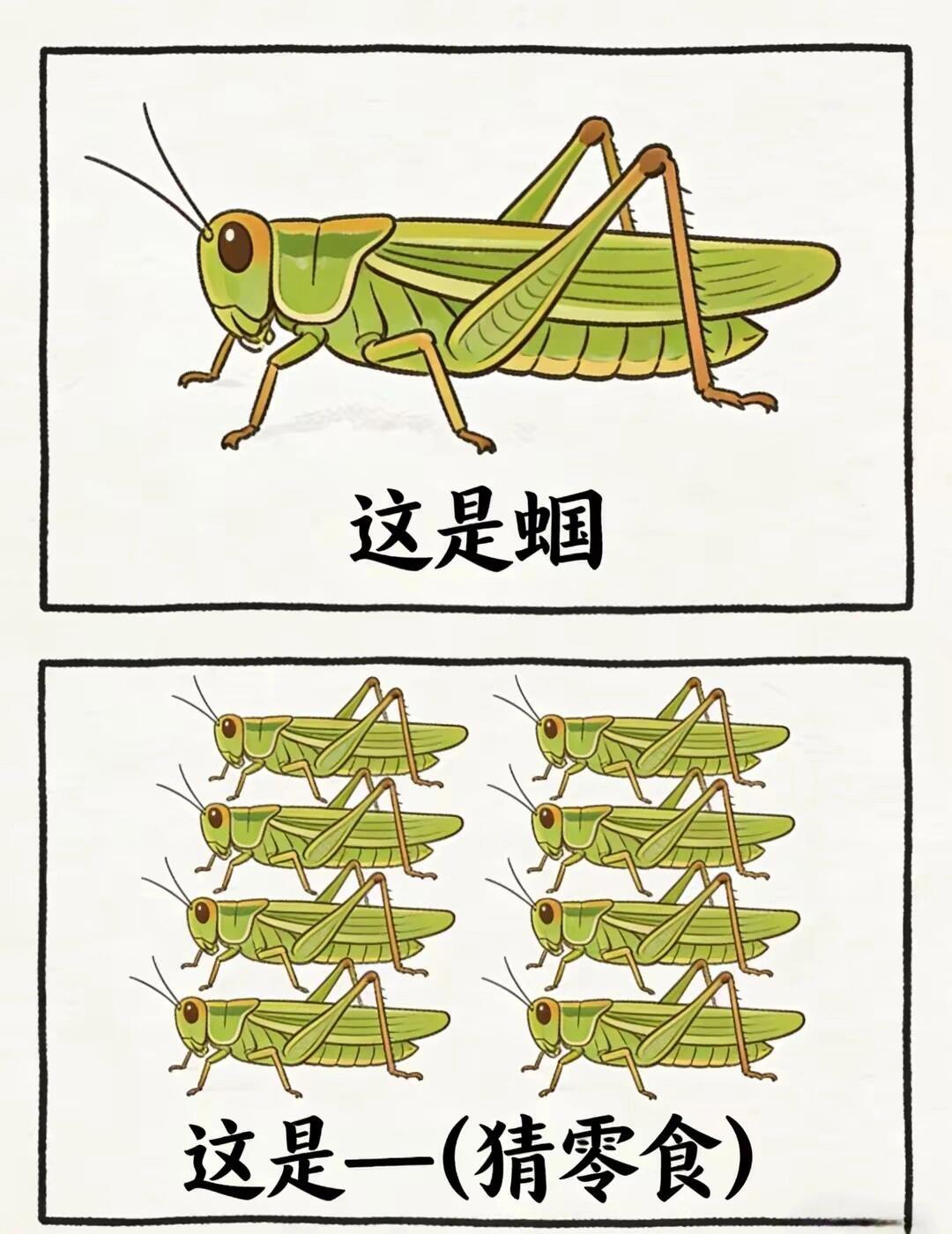 欢乐抽象谐音梗图来啦 
来歇歇脑子喽[种草R]梗图 有趣的发现 此图有梗 脑洞