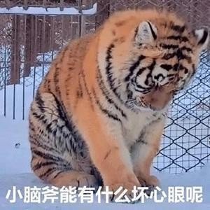 7岁女童在动物园被小老虎咬伤老虎再小，它也是野生动物啊，真当大猫了 ​​​