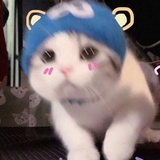 上上清风