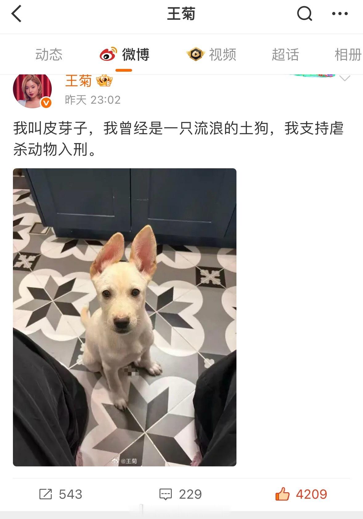 支持王菊 