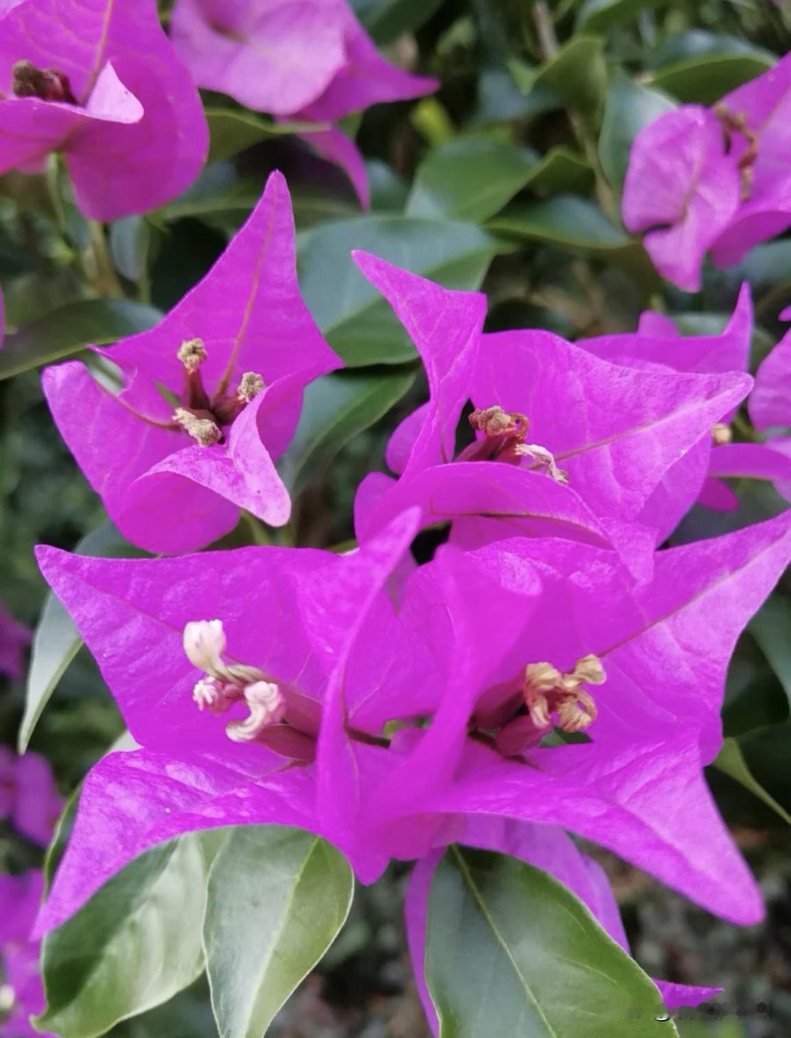 我们是谁？
我们是自己期许的样子吗？
我们会不会因为热情的消散，
逐渐模糊了曾经