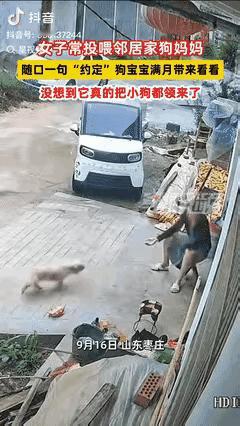 山东枣庄，一女子经常投喂邻居家的小狗，得知小狗怀孕后，女子和小狗“约定”狗宝宝满