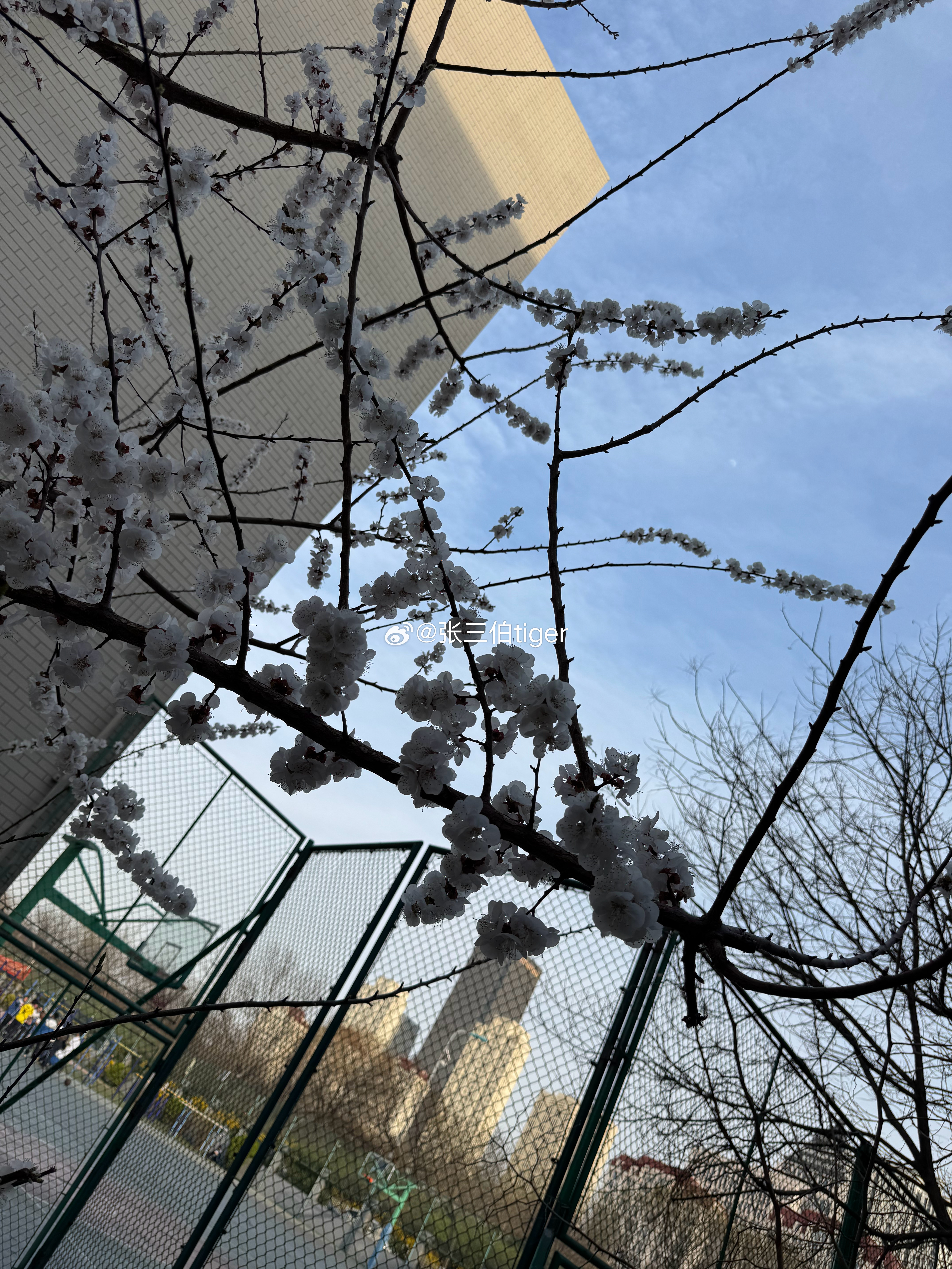 说句心里话体育产业的每一个环节都依托成绩本身成绩不好时没有一个相关环节是好过的想