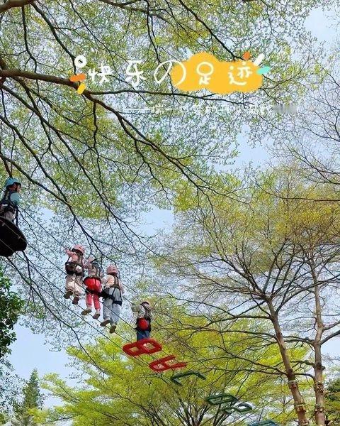 3月好春光、踏青探险正当时
📍广州 广州龙头山森吧飞越树上探险乐园
快来体验树