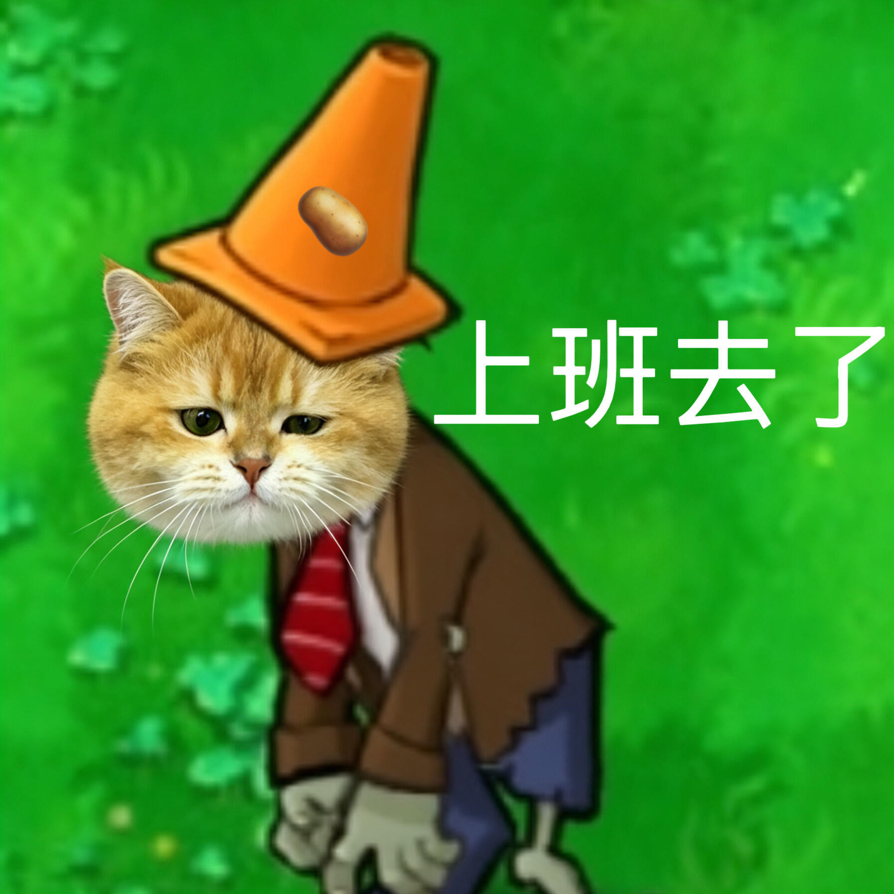 岑先生  外面好大的雨，开车先送我老公去上班，现在又送我家小朋友去暑假班，马上我
