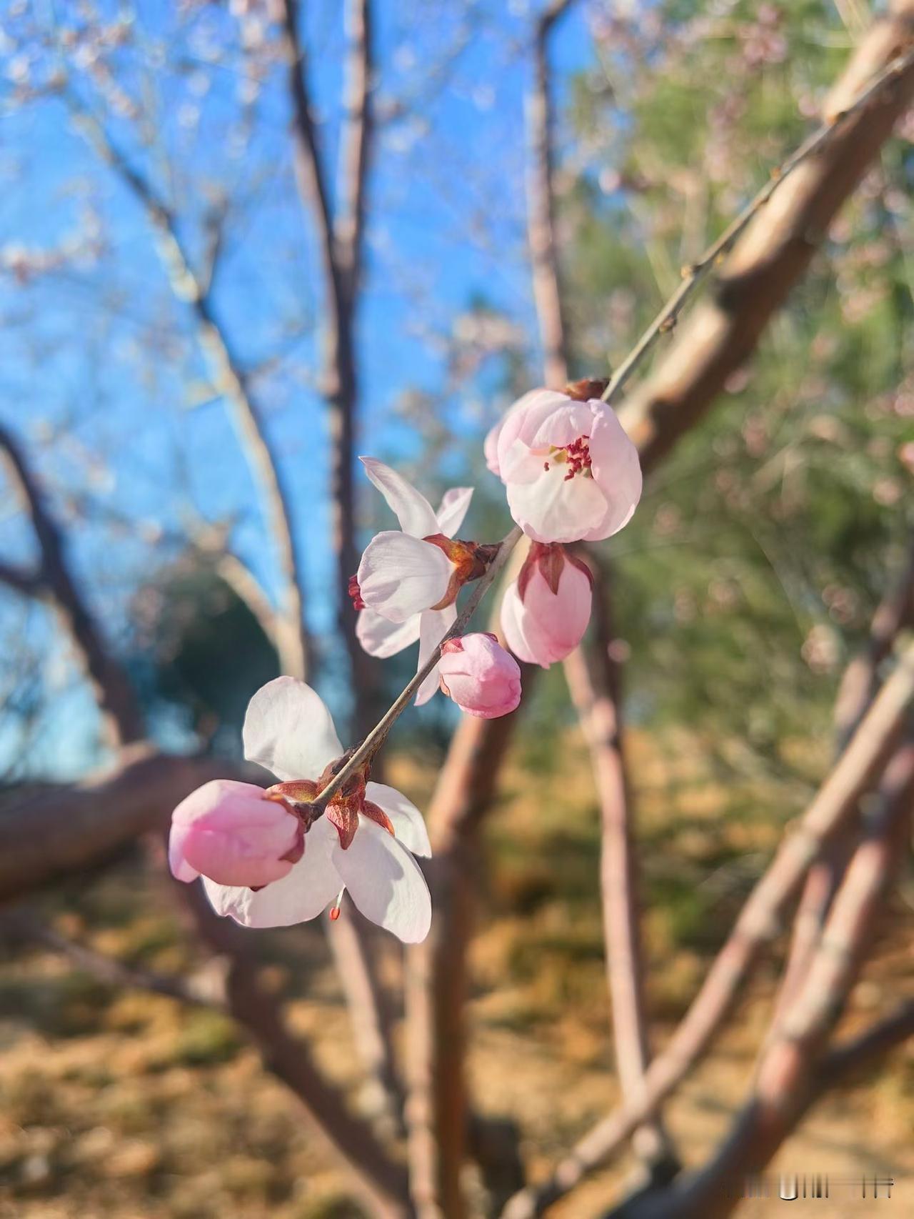 职场中，头脑灵活的10个表现:
 
1、不在小事上较真，不在原则上退让，分得清什