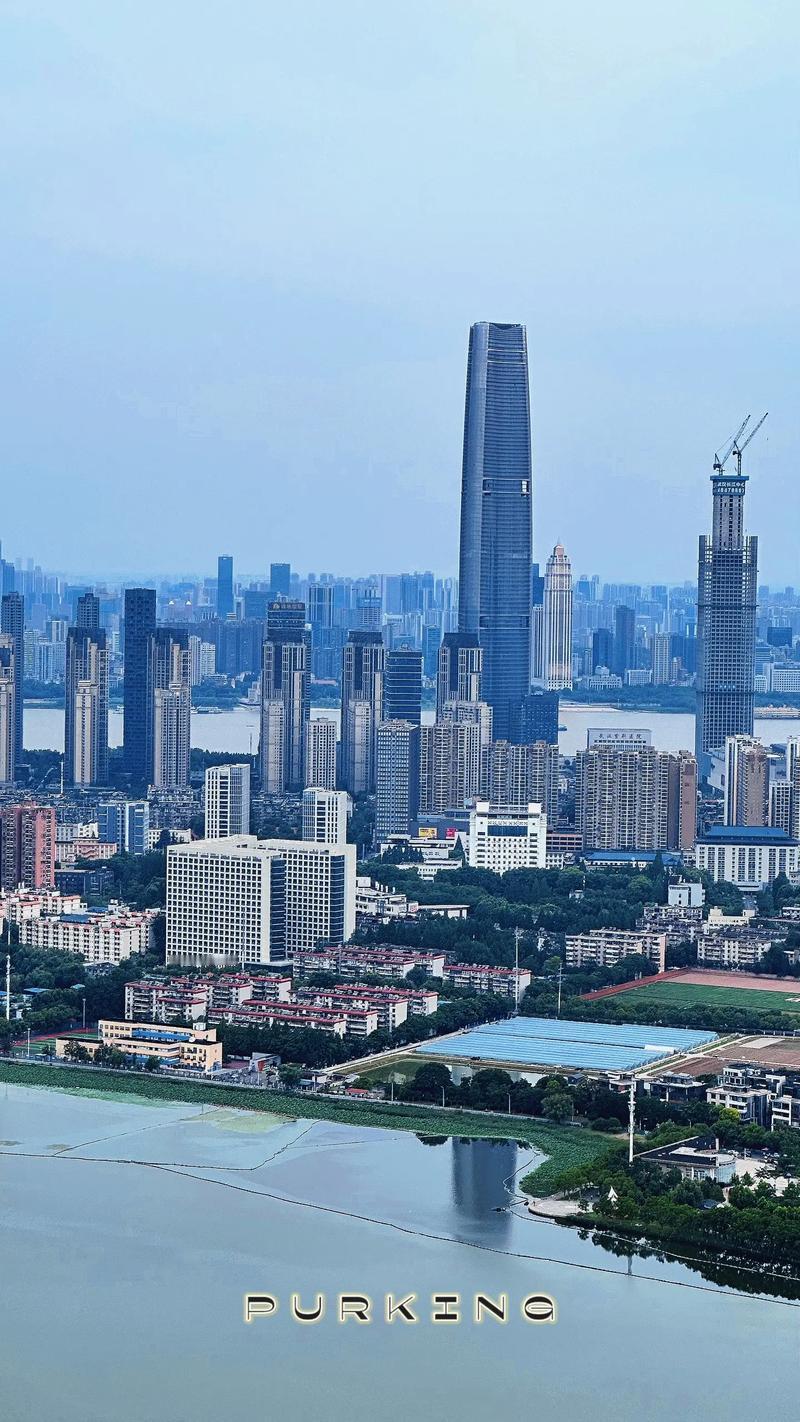 作为武汉人，我见证着这座英雄城市的高质量发展，自豪感油然而生。

前三季度GDP