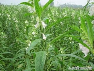 有些爱，从未离开，它只是换了一种方式，温暖着我们走过的每一个季节。
深秋的风里，