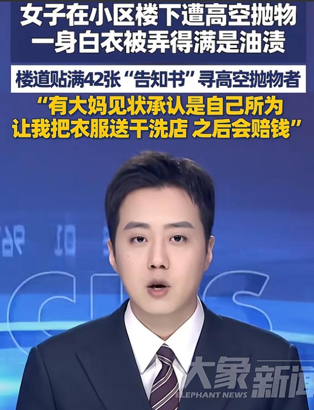 “做法堪称教科书！”安徽芜湖，一女子穿了一套白衣服出门，谁知刚下楼一泼油渍从天而