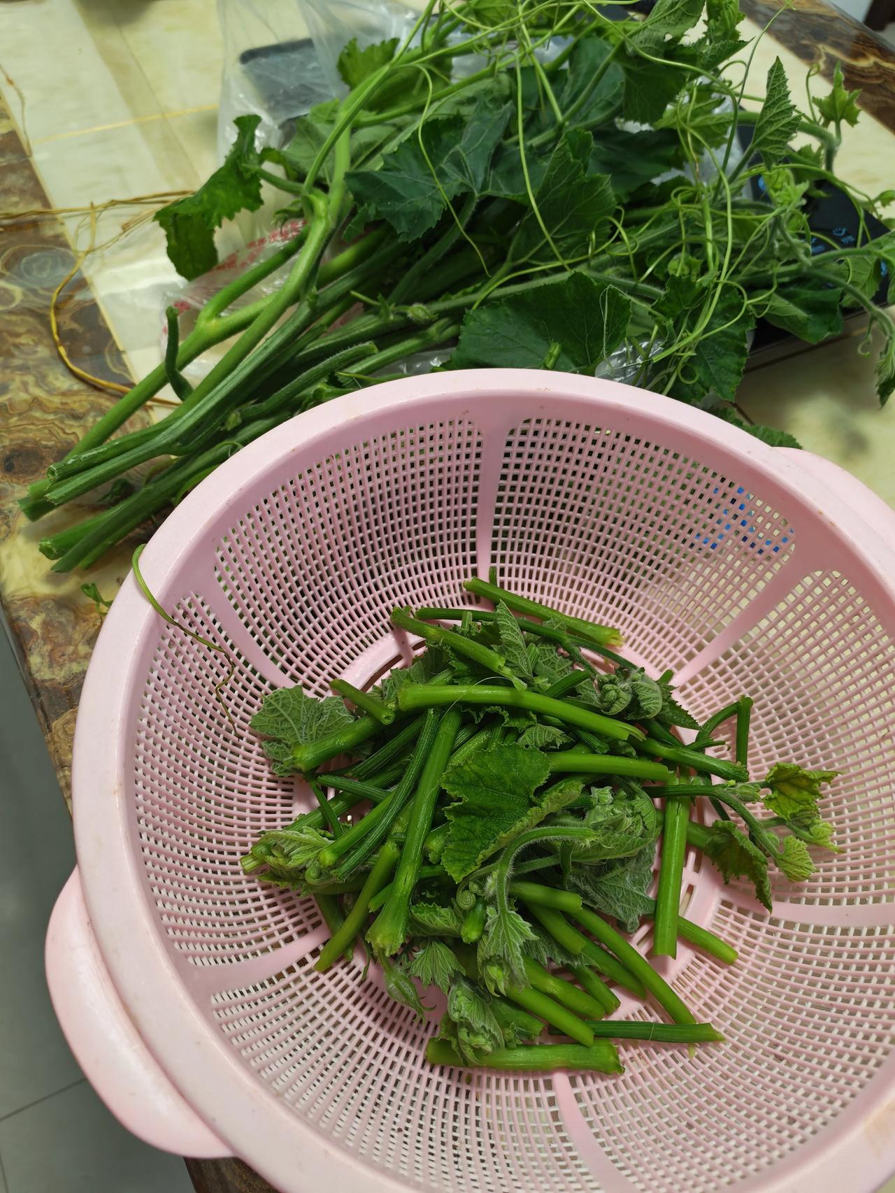鲜嫩南瓜尖，地道农家味
 
自家采摘的南瓜尖，鲜嫩水灵，看着就喜人。仔细掐掉老梗