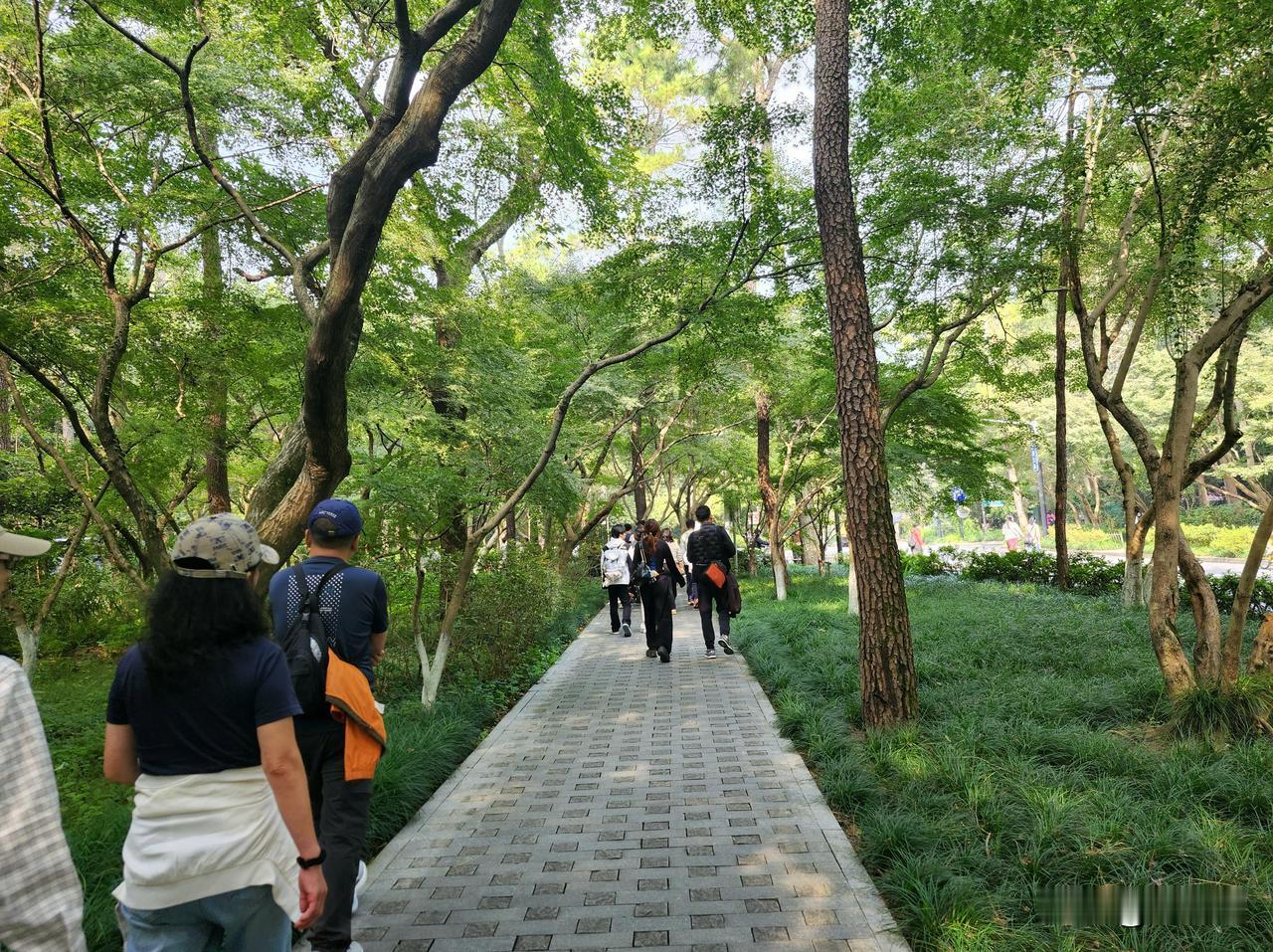 早晨女婿继续出去办他的业务，我和女儿外孙女打车来到灵隐寺。

进了大门，立即有一
