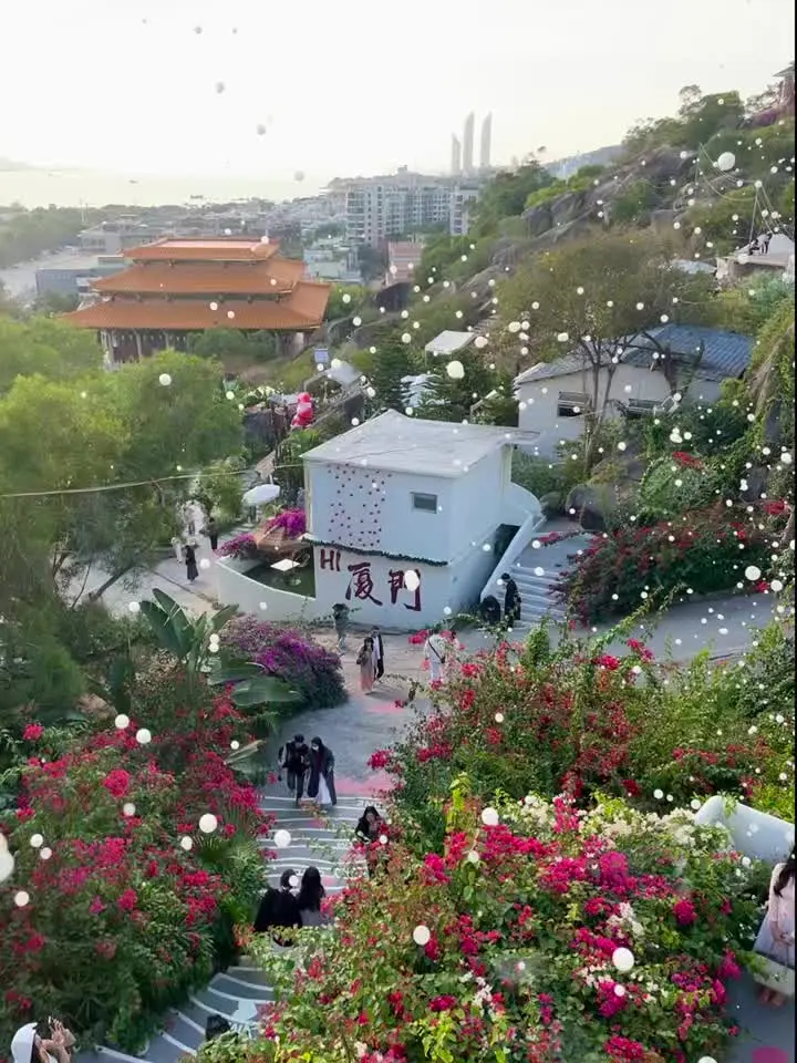 有海的城市 好像会更浪漫一点