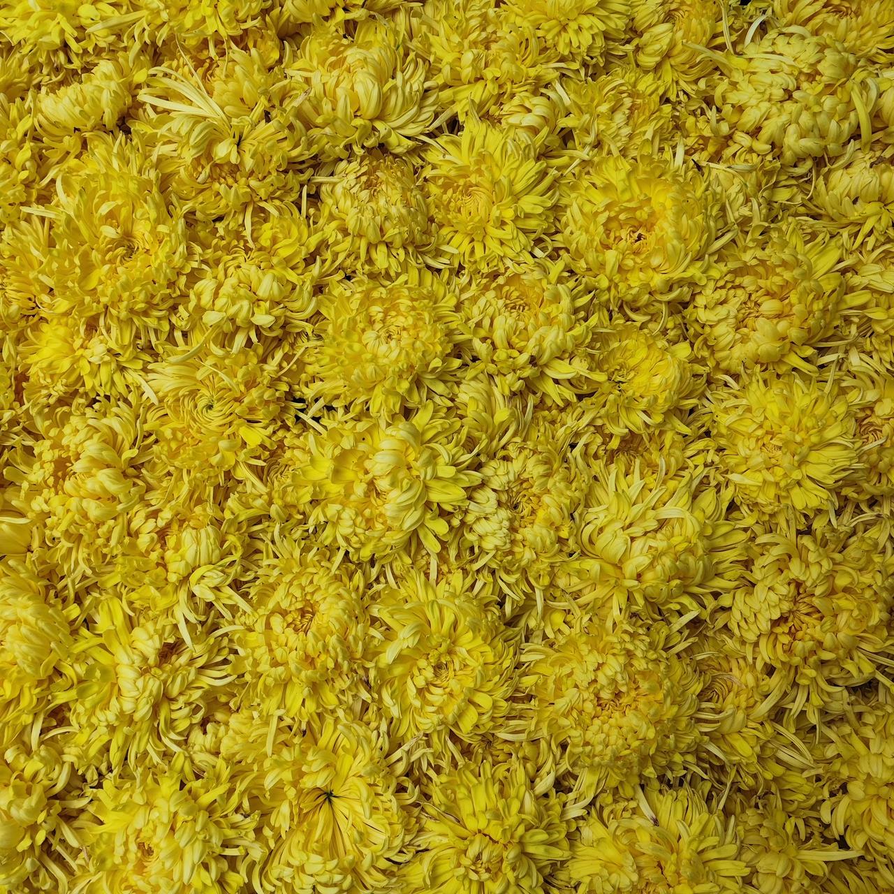 人这一辈子，

不必总叹自己不易。

其实谁的人生都有重量，

每个人心里都装着