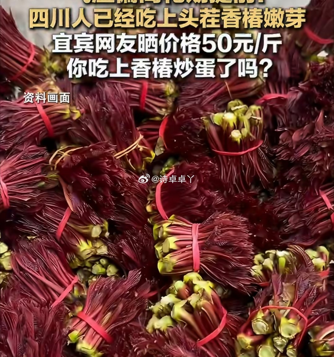 资资话消防 一口春菜鲜，满城烟火香。香椿、春笋、折耳根、荠菜……四川人的春天，从