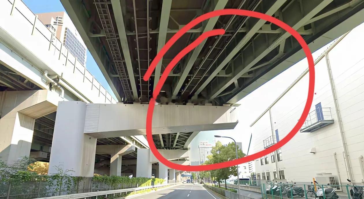有没有桥梁建设方面的高手？这个桥属实厉害了，怎么只有单边的？就一根柱子，能承受如