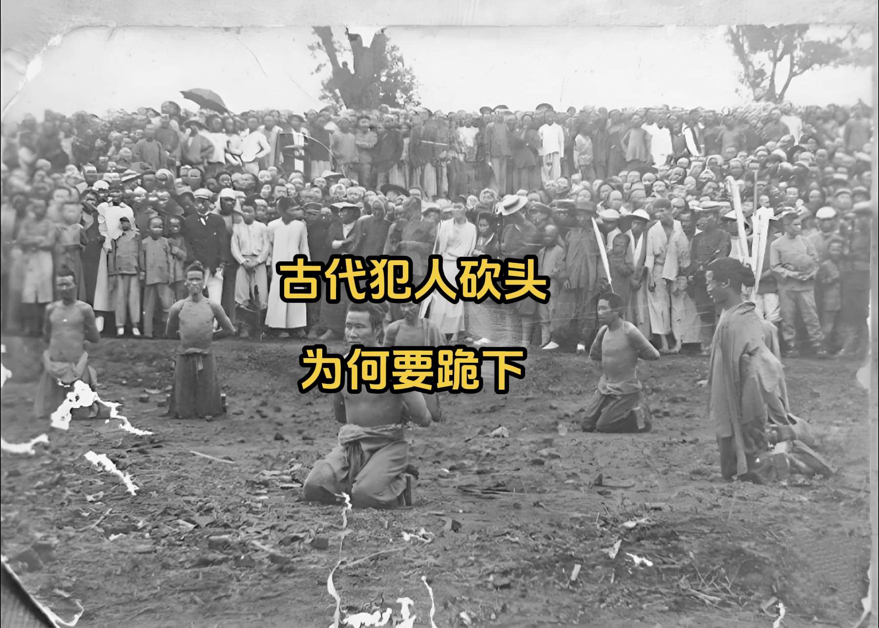 古代犯人被砍头，为何十分听话自觉跪下？1. 刑场是一场给活人看的权力表...