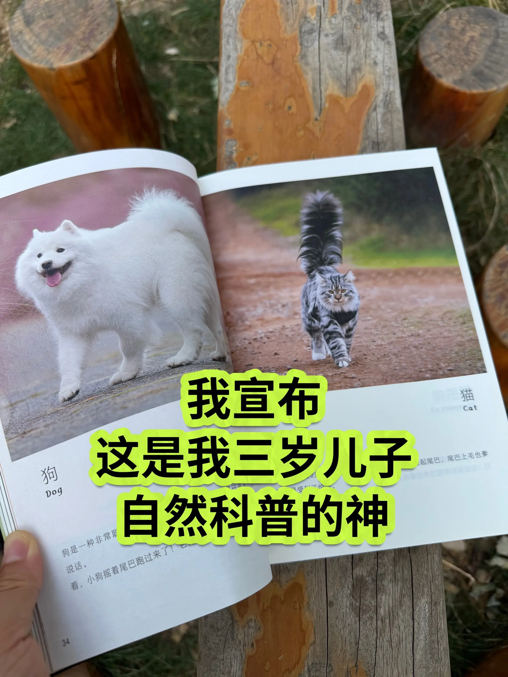 哇噻！2岁宝宝就能看懂的自然百科书🔥。高清实拍大图，视觉冲击力堪比纪...