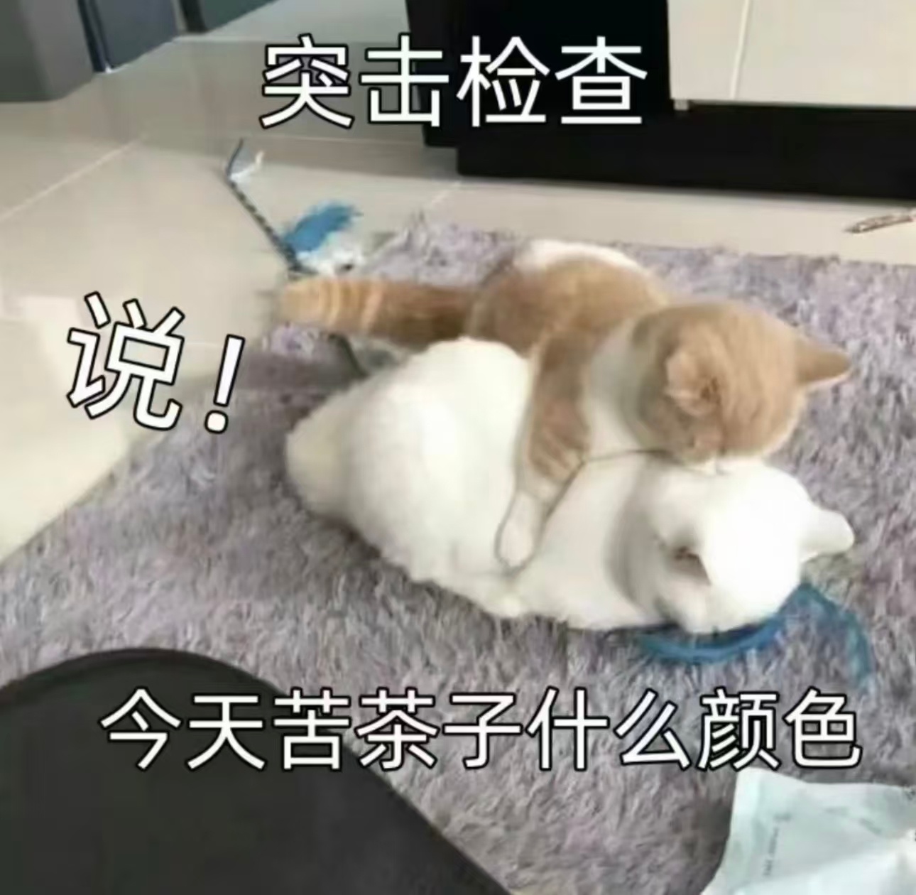 迪丽热巴 啊～裤衩～我的小红裤衩～你在哪儿～我好想你啊～红裤衩～星星的红裤衩怎么