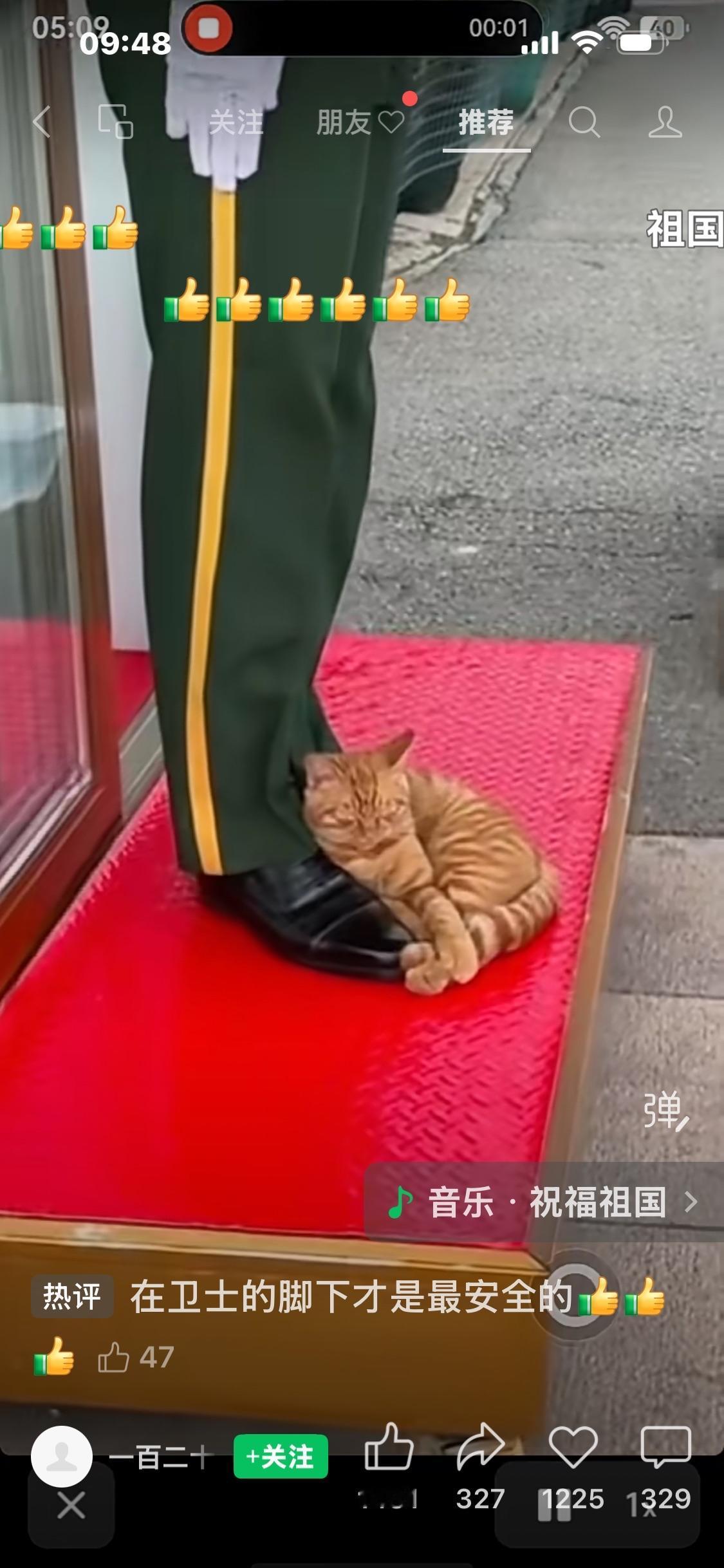 猫子狗子都知道找个“靠山”！