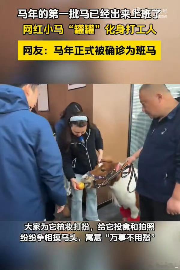 马年的第一批马已经出来上班了谁的工位还没迎来新晋顶流？罐罐小马正式到岗，精心打扮