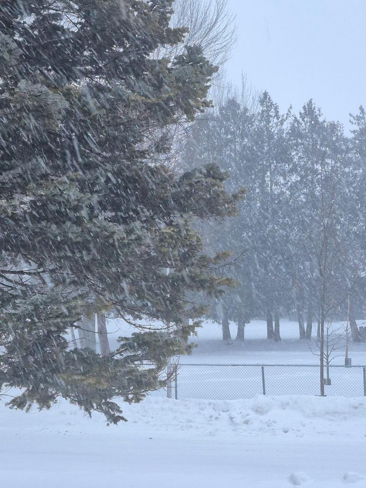 我：下大雪了，法语怎么说？
​老二：Il neige beaucoup.
​
我