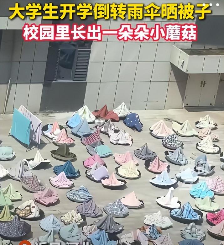 早认识阁下，不会彻夜难眠......
河北一大学，晒被子火了。学生将雨伞倒放在地