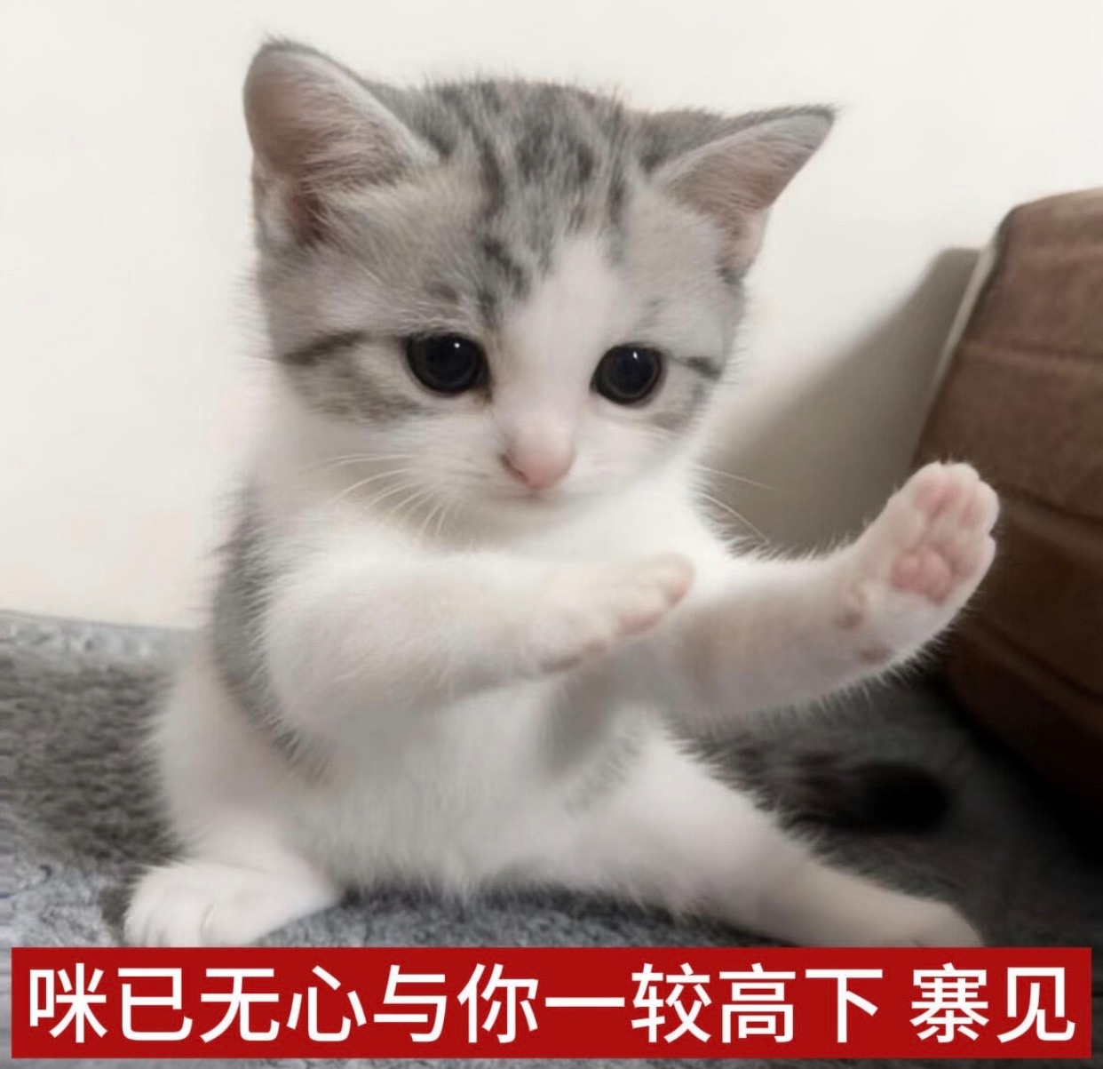 一天没吃饭吃西瓜吃饱了 