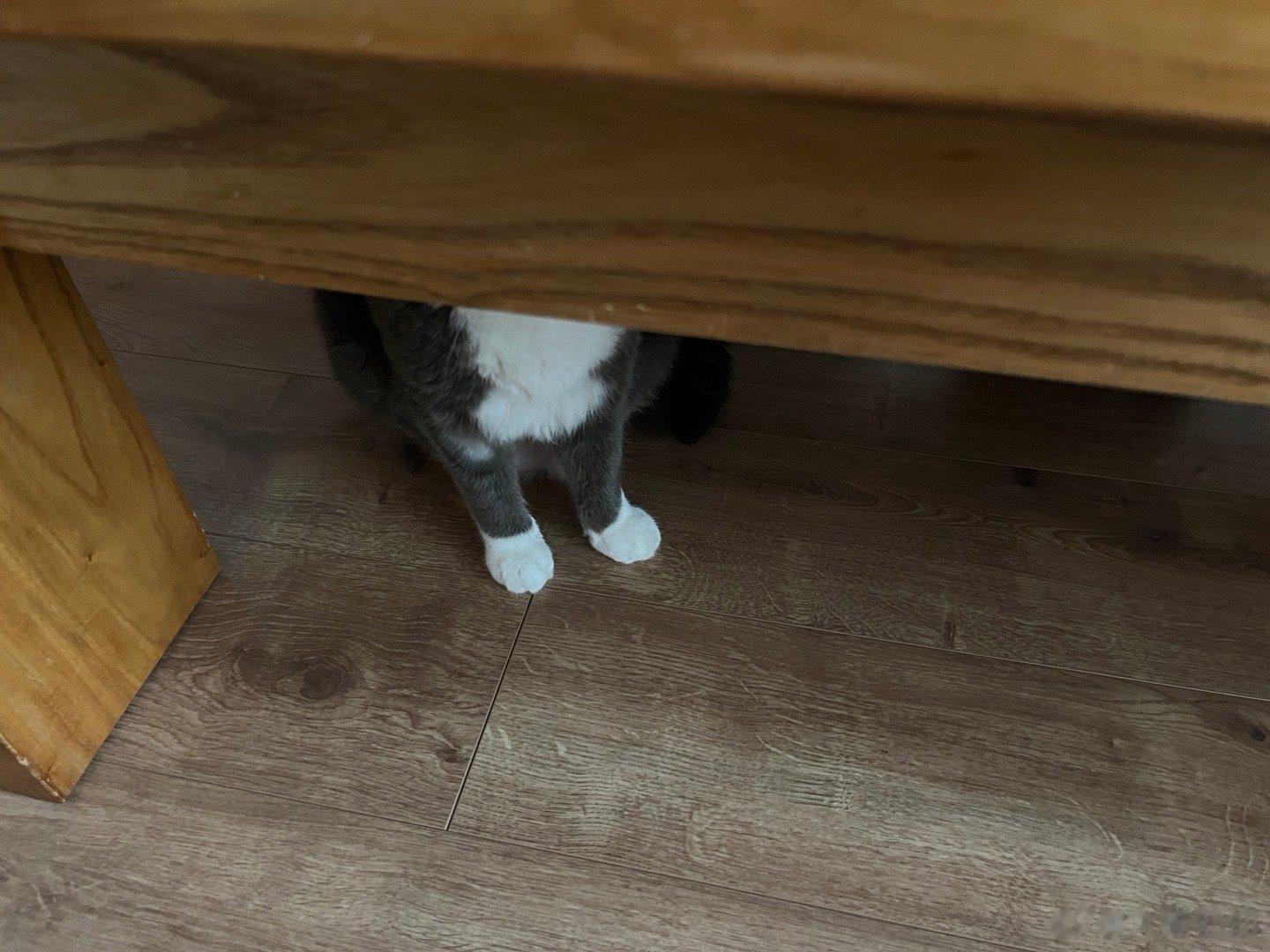 猜猜我是哪个 ​​​
