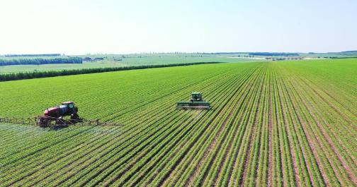 几百亿斤粮食说不要就不要了？数万名官兵和农民辛苦开垦半个世纪，能养活一亿人的中国