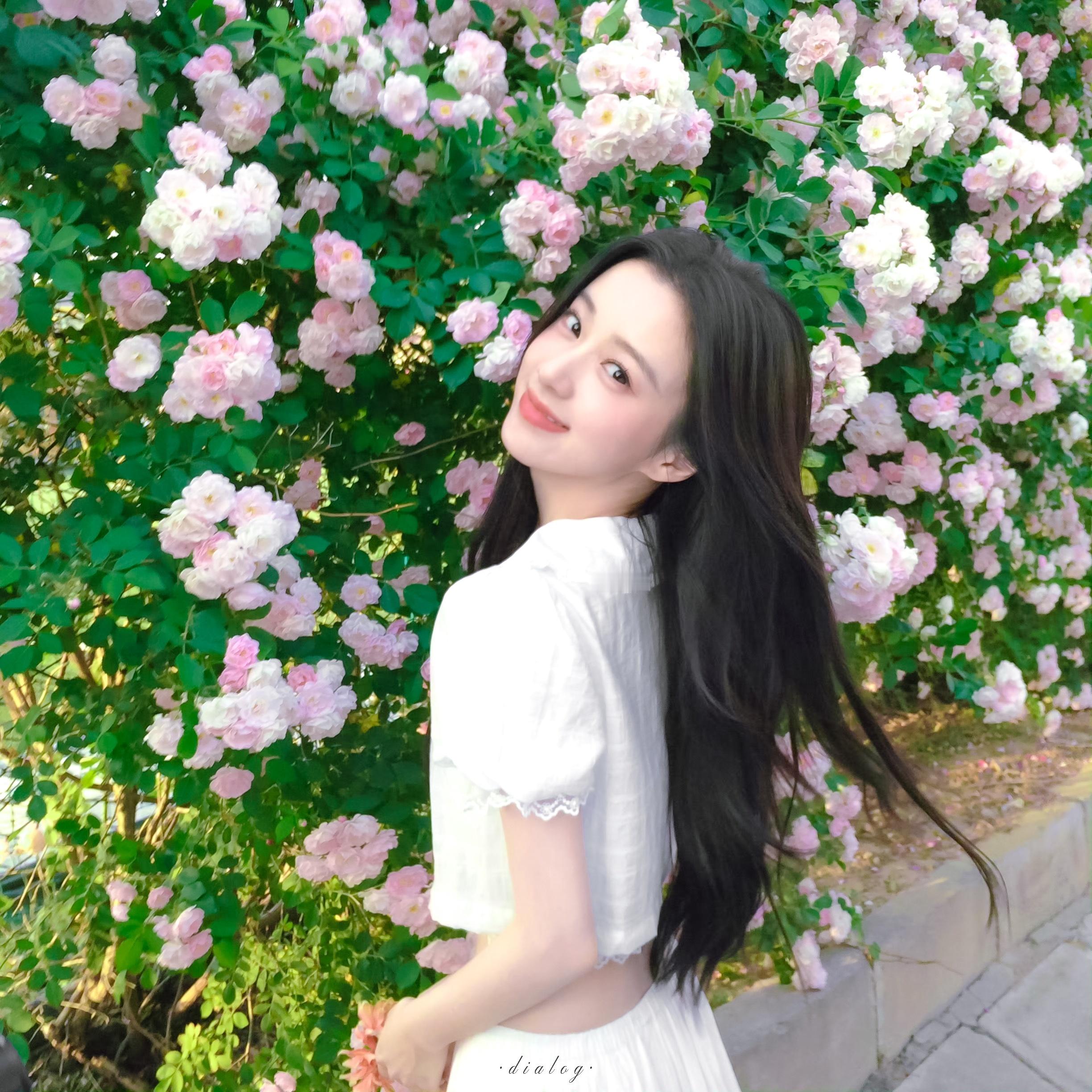 -赴一场花墙之约包上恩