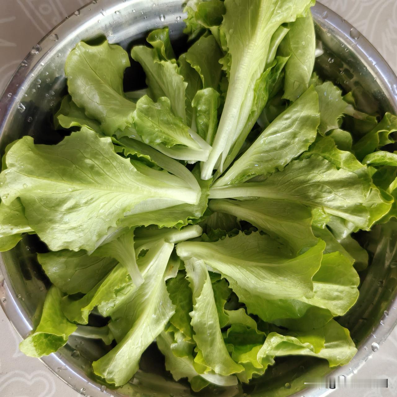 【老乔头种果菜·会种会采会吃】小园种菜莫贪多，要贪吃
 
新手在自家小园种菜，很